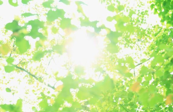 電話による完全オンライン英会話